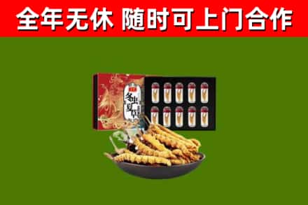 六枝特烟酒回收冬虫夏草礼盒.jpg
